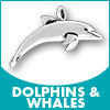 Dolphins & Whales