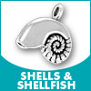 Shells & Shellfish