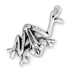 Sterling Silver Large Tree Frog Charm